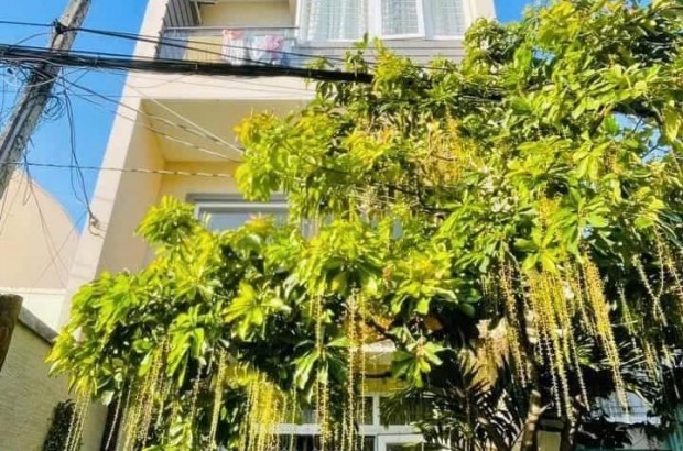 ban nha vung tau ba trieu00000
